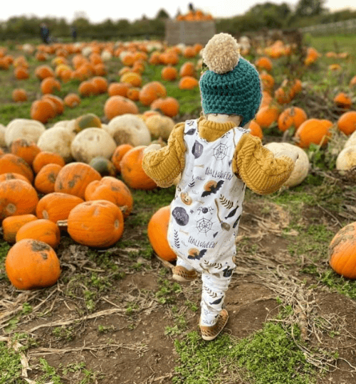 pumpkin patch