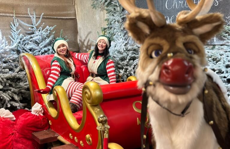 Santa's elves on sleigh