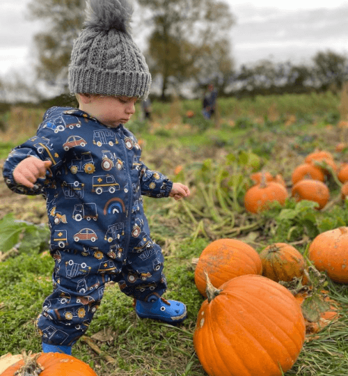 pumpkin patch